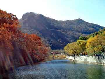 管家婆免费正版资起大全，液氨